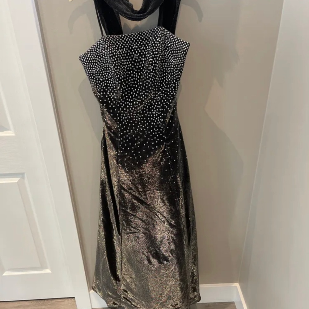 Venessa  Steven Long gown